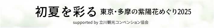 イマタマあじさいバ
ナー