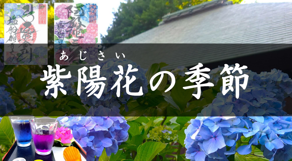 06アジサイ